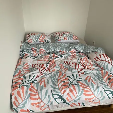 Apartmán La Domus Lemaitre 4 - Parking - Familial - Loft *